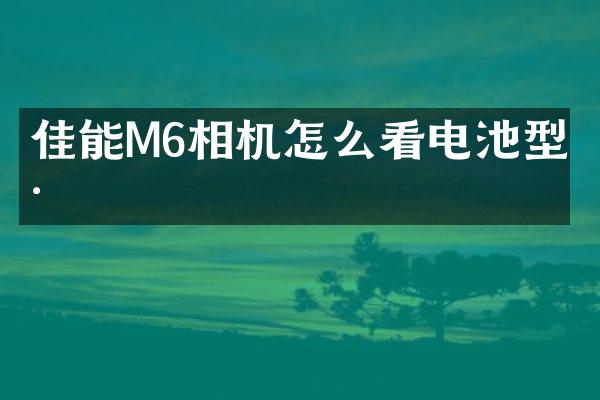 佳能M6相机怎么看电池型号
