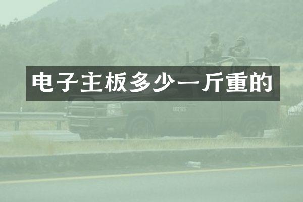 电子主板多少一斤重的