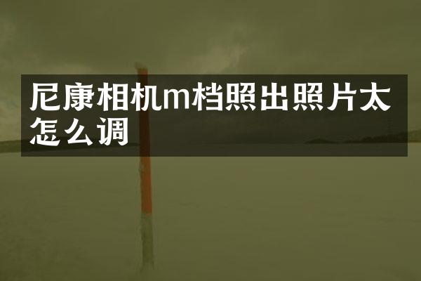 尼康相机m档照出照片太白怎么调