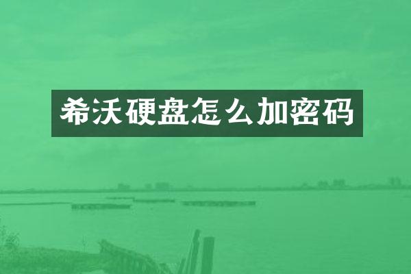 希沃硬盘怎么加密码