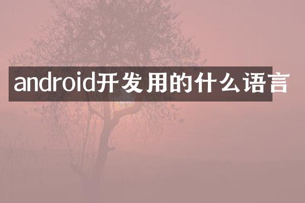 android开发用的什么语言