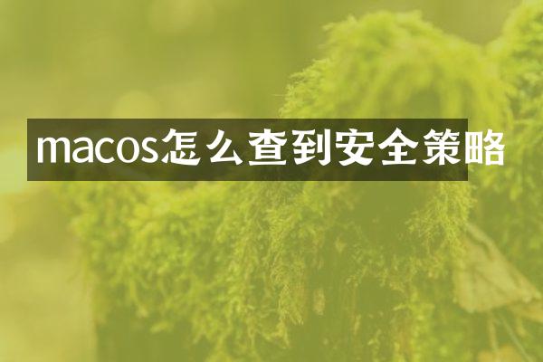 macos怎么查到安全策略