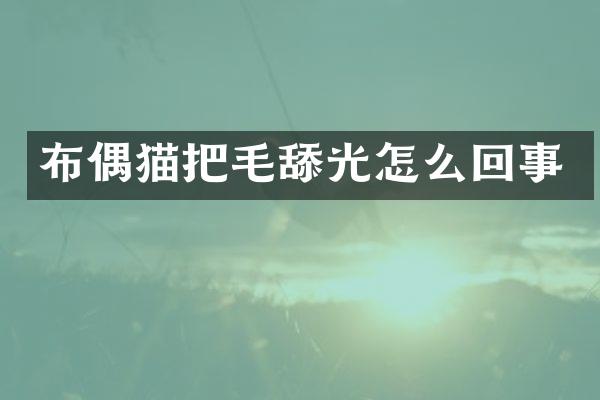 布偶猫把毛舔光怎么回事