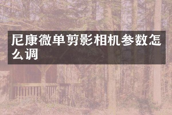 尼康微单剪影相机参数怎么调