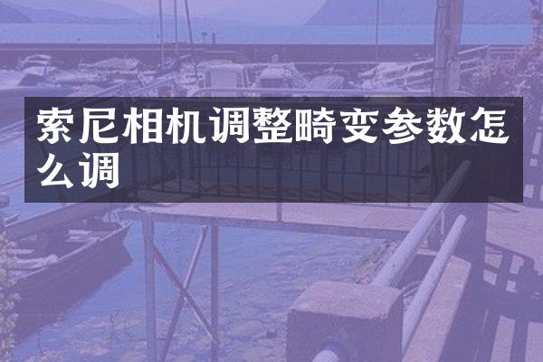 索尼相机调整畸变参数怎么调