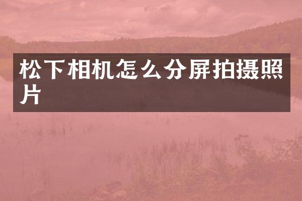 相机怎么分屏拍摄照片