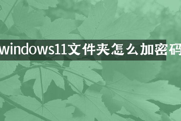 windows11文件夹怎么加密码
