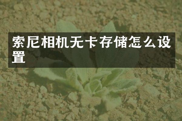 索尼相机无卡存储怎么设置