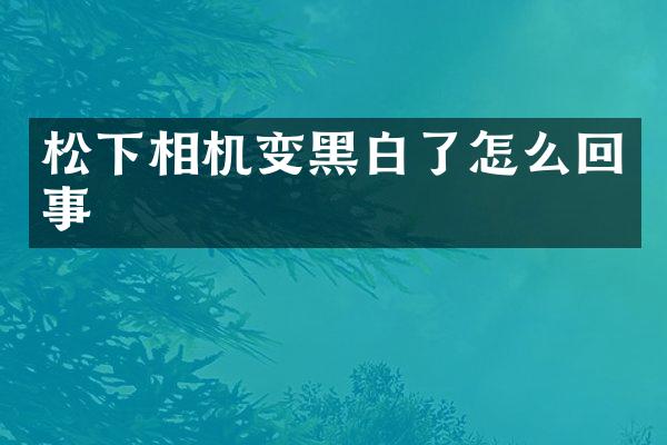 相机变黑白了怎么回事