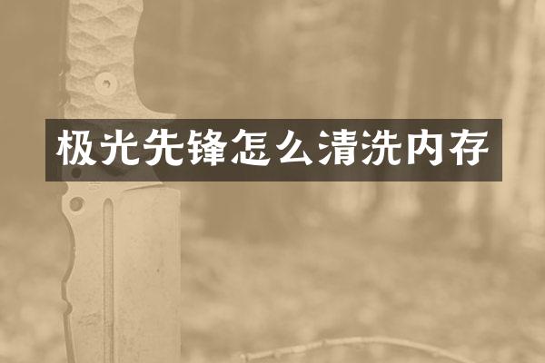 极光先锋怎么清洗内存