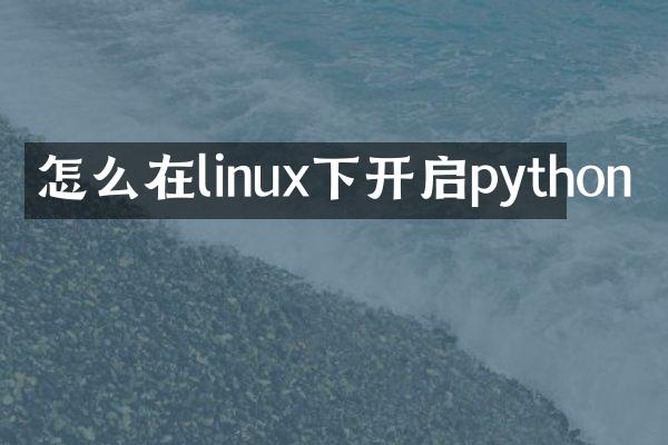 怎么在linux下开启python