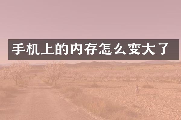 手机上的内存怎么变大了
