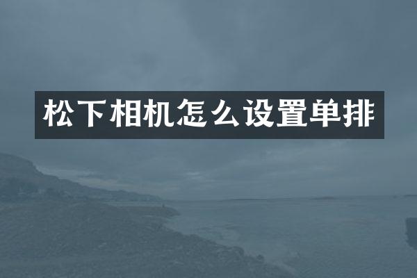 松下相机怎么设置单排