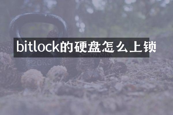 bitlock的硬盘怎么上锁