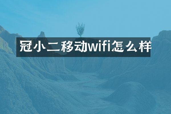 冠小二移动wifi怎么样