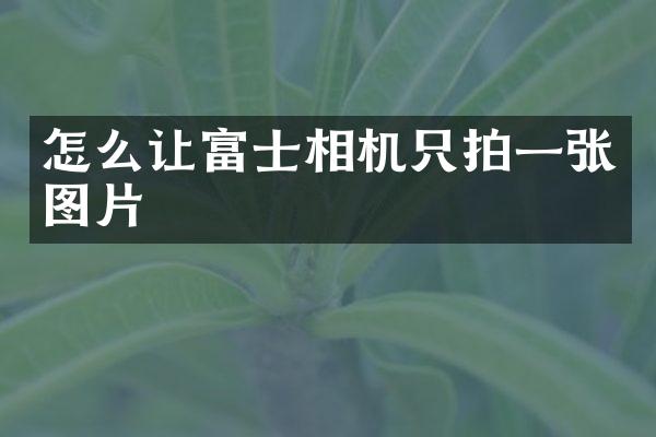 怎么让富士相机只拍一张图片
