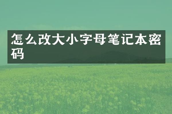 怎么改大小字母笔记本密码