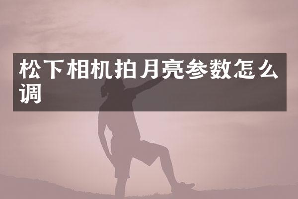松下相机拍月亮参数怎么调