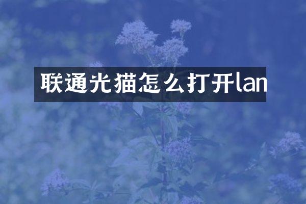 联通光猫怎么打开lan