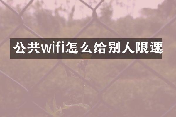 公共wifi怎么给别人限速