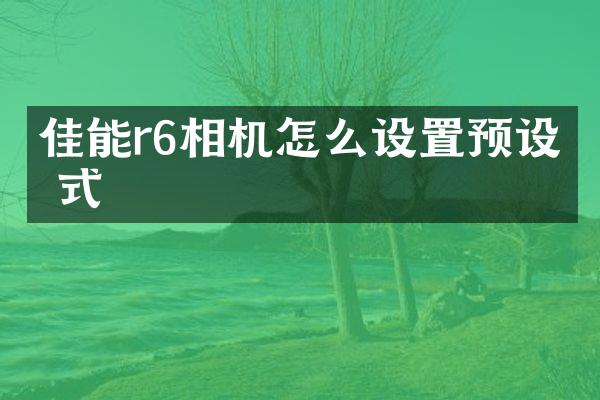 佳能r6相机怎么设置预设格式