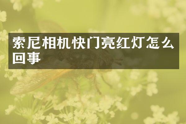 索尼相机快门亮红灯怎么回事