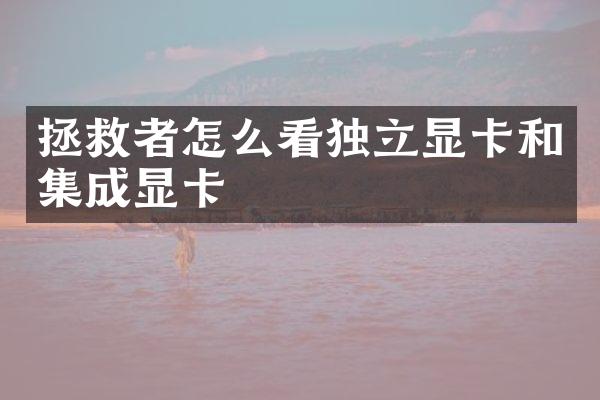 拯救者怎么看独立显卡和集成显卡