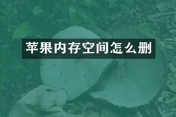 苹果内存空间怎么删
