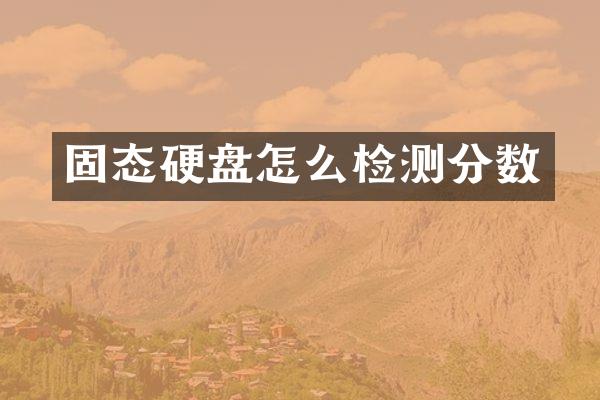 固态硬盘怎么检测分数
