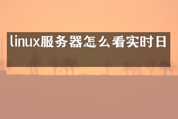 linux服务器怎么看实时日志