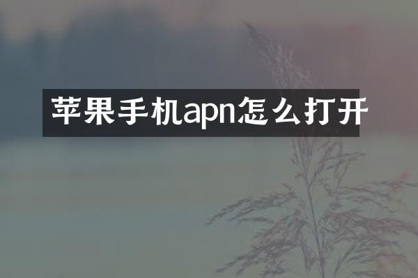 苹果手机apn怎么打开