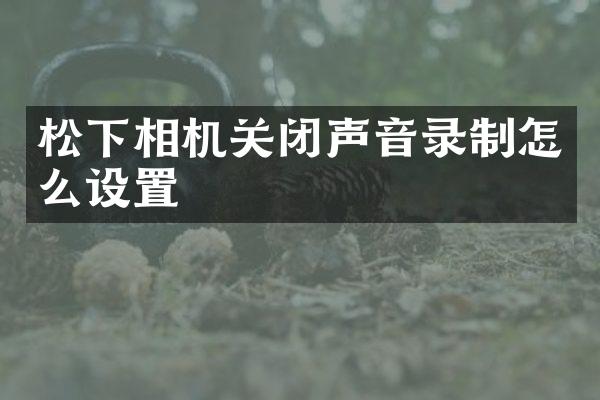 松下相机关闭声音录制怎么设置