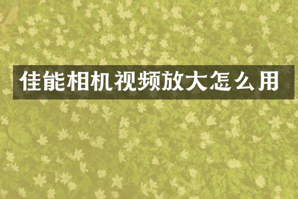 佳能相机视频放大怎么用