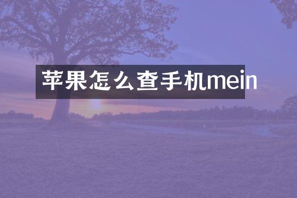 苹果怎么查手机mein