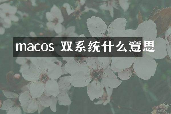macos 双系统什么意思