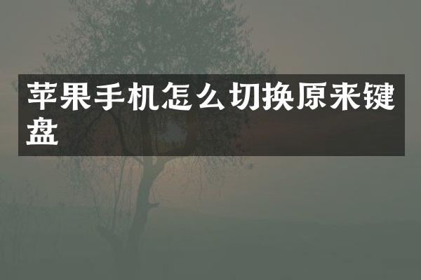 苹果手机怎么切换原来键盘