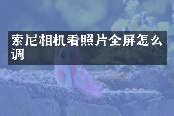 索尼相机看照片全屏怎么调