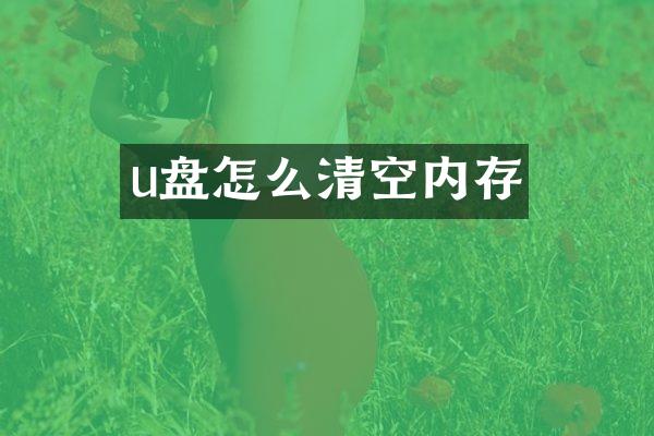u盘怎么清空内存