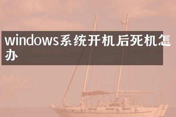 windows系统开机后死机怎么办