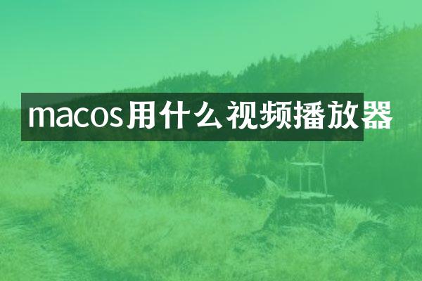 macos用什么视频播放器