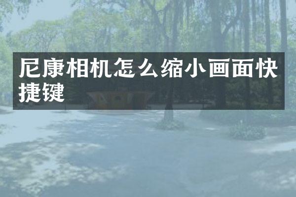 尼康相机怎么缩小画面快捷键