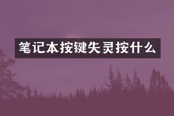 笔记本按键失灵按什么