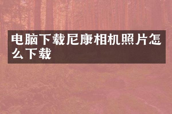 电脑下载尼康相机照片怎么下载
