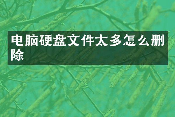电脑硬盘文件太多怎么删除
