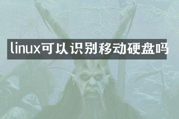 linux可以识别移动硬盘吗