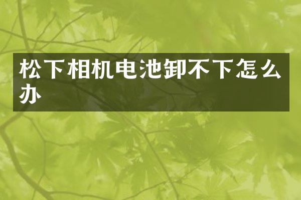 松下相机电池卸不下怎么办