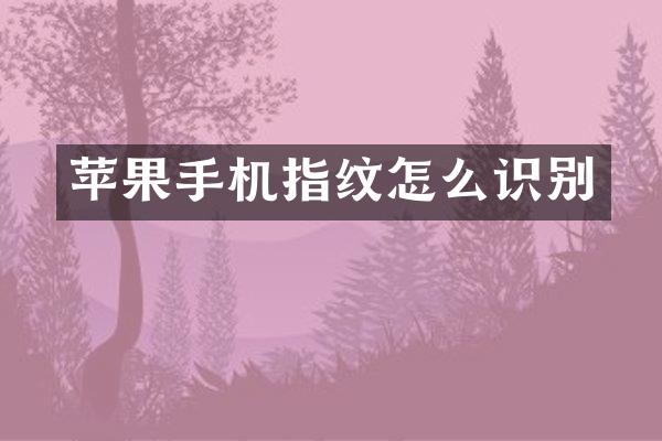 苹果手机指纹怎么识别