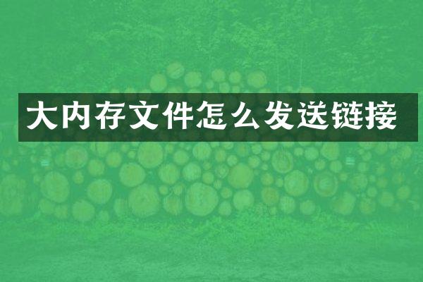 大内存文件怎么发送链接