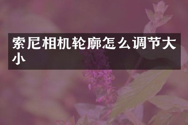 索尼相机轮廓怎么调节大小