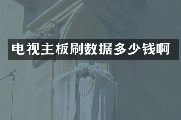 电视主板刷数据多少钱啊